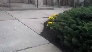 54K views · 2K shares | Don't Wait for someone to help you... Learn yourself...Help Others... Google is your friend....Be Independent | Sai Satish | Facebook