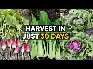 Grow These 9 Quick Veggies for a 30 DAYS Harvest!