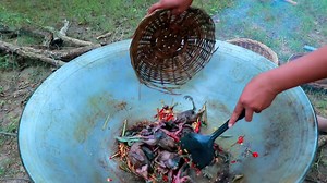 5.4K views · 93 reactions | Primitive Life Village - Mother chases Bird chase - Puppies Eating delicious Bird | Galvin Planet | Facebook