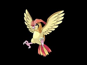017 Pidgeotto Cry