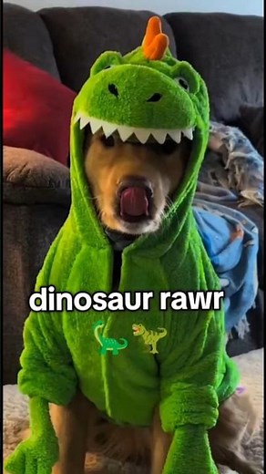 dinosaur rawrr