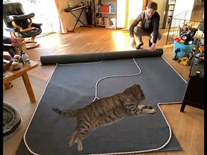 Rolling up the micro carpet track for Kyosho Mini-Z and some silly cars