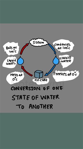 Phase Changes of Water Explained! 💧 | Chemistry Basics #shortsbeta
