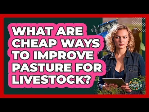 What Are Cheap Ways To Improve Pasture For Livestock? - The World of Agriculture
