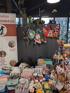 🛒Collecte au profit de nos loulous jusqu'à 18h30 à Jardiland Poitiers 🙏 | Association Adoptanimaux