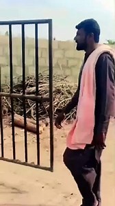 new fani video  clip