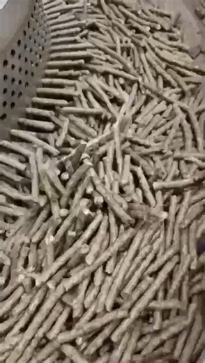 Pellet Machine – Turning waste into clean energy!  Efficient | Durable | Eco-friendly ♻️ #PelletPress #GreenEnergy #BiomassPellets #Sustainability #WasteToValue | Hebei Tiantai Biomass Energy Development Co., Ltd | Facebook