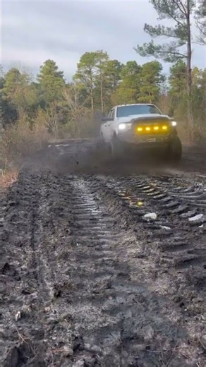 8,000lbs cummins to heavy to mud I don’t think so. #4x4 #mudding #cummins #truck #offroad