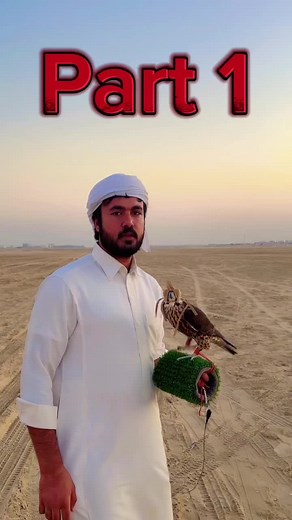 ‏#albalochifalcons #falcon #foryou #foryoupageofficiall