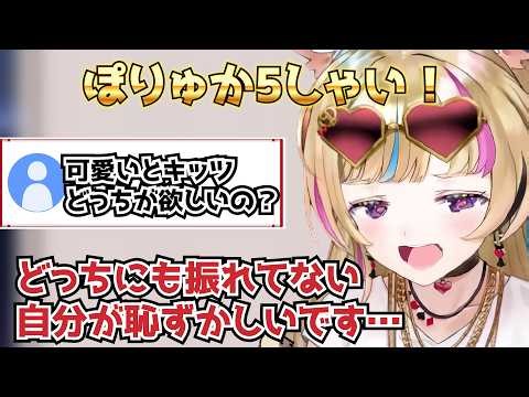 ポルカ5ちゃいを見た座員のコメントが容赦なさすぎて草【ホロライブ/切り抜き/尾丸ポルカ】