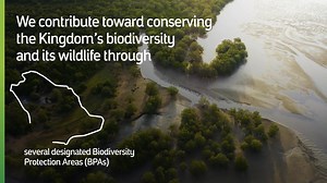 10M views · 11K reactions | Our biodiversity protection areas shelter many different species, helping to protect the Kingdom’s rich natural heritage aramco.com #aramco | aramco | Facebook