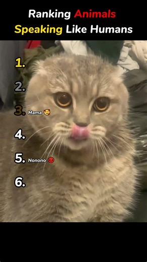 Ranking Animals Speaking Like Humans 😂