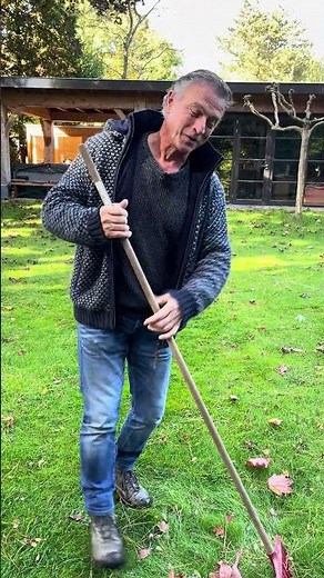 Paddestoelen in het gazon. Is dat erg? | Tuinmanieren #tuinieren #tuinmanieren #gazon