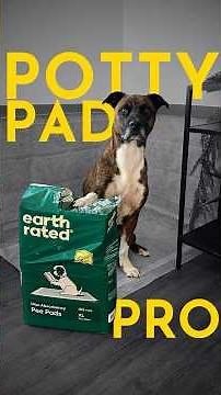How to potty train ANY dog with pads. (FAST!) ‪@earthrated‬ #earthratedpartner #dogtraining