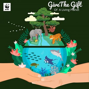 This ‘Season of Giving’, help conserve our forests and seas, which provide: • The air we breathe • The water we drink • The food we eat • Resources to sustain our livelihoods • Climate change mitigation Your donation will help boost WWF-Malaysia’s efforts to protect forests and seas to safeguard our wellbeing and sustainable future. All donors will receive a tax deductible receipt (⚠️ only a few days left for 2025). Visit: wwf.org.my/livingplanet_gift WWF-Malaysia has supported the Malaysian Gov
