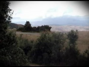 Al-Qaeda in Algeria ambushes municipal guards