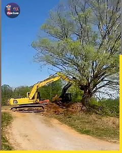 Green Harvest Unveiling the Secrets of Sustainable Forestry.😱😲 #sustainableforestry #ECOHARVEST #TreeHarvestingInsights | Fun club