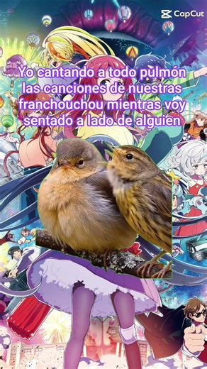 Perdón pero es inevitable hacerlo 🗣️ #zombielandsaga #anime #edit #shorts #franchouchou