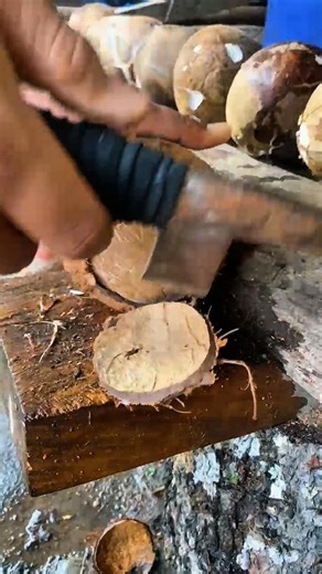 Coconut Skill ASMR 🥥#satisfying #asmr #coconut