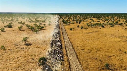 Powerful farming families lead rural property market mega-deals