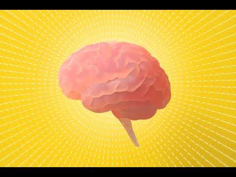 10 Breakthroughs in Brain Science from 2025