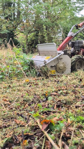 3.3K views · 44 reactions | Flail mowing You will find from time to...