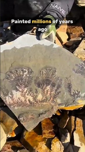 What's the RAREST Gemstone in the World