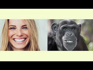 Evolution - Die Entwicklung des Menschen