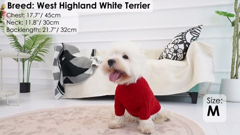 Small Dog Sweater, Dog Sweaters for Small Dogs Male, Doggy Thermal Knitted Winter Sweater Pet Clothes Doggie Turtleneck Sweatshirts Puppy Outfits, Blue S