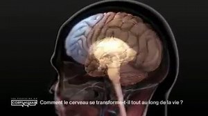 17K views · 286 reactions | La transformation du cerveau au fil de la vie | Biologie Université | Facebook