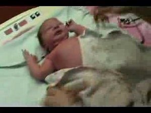 6 babys first check up