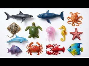 Sea Animals for Kids: 100 Easy Ocean Animals with Whale, Turtle and Octopus | Toddler Learning Video