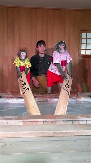 猿の湯もみショー🐵【草津温泉】#草津温泉 #湯もみショー#おさ湯 #猿の湯もみショー