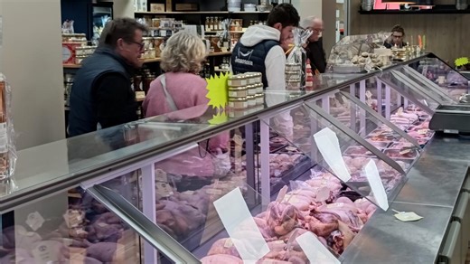 Grippe aviaire : 39 000 volailles abattues, une ferme de l’Eure survit à la crise