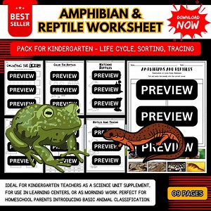Kindergarten Amphibian and Reptile Worksheet Pack – Science Printable (PDF) - Etsy Canada