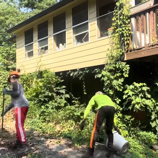 1.2K views · 29 reactions | No one here dares to do treatment because many people have died, right? | Lawn Rapair | Facebook