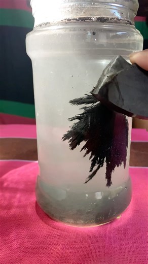 This Water Experiment Looks Like Venom in Real Life! 🕷💧 | Crazy Science Test 😱