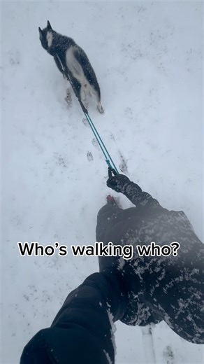 March 20 winter weather advisory ❄️ Spring 🌸 not today :)