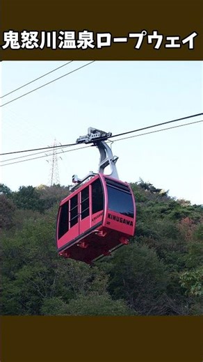 駅ガチャ解説 鬼怒川公園駅 #鉄道 #駅 #駅ガチャ解説 #short