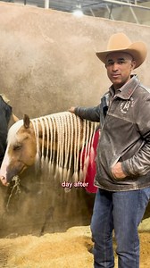 Some of my thoughts after the Semi Finals! Results aside, I am very grateful to have a fantastic team of horses and people supporting me. Special thank you to Janice Dickson, the owner of all three of these horses, for her continued support over the years! I look forward to coming back next year stronger than ever. 〽️〽️ | Matt Mills Reining