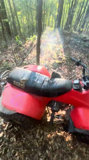 Lt185 #revlimiter #wheelie #atv #honda #suzuki #winter