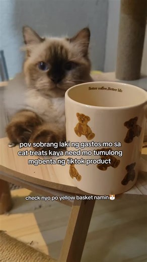 Cat labor 🐱 #cutemugforcoffee #cutemugaesthetic #cutemugdesigns #cutemugforgift #cutemugcollection #coffeelovers #cutemugs #bearmug #cutecupforcoffee #cutecupeasthetic #cats #catsoftiktok