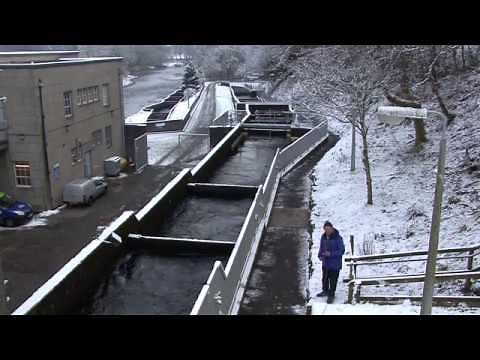 Fish Ladder Pitlochry