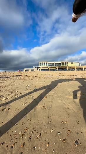 Christmas tree delivery at The Beach Littlehampton. Getting in the festive spirit! | The Beach Littlehampton