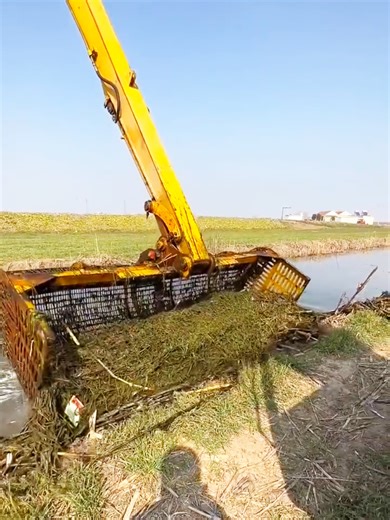 Excavator Fishing Adventure: Big Machine, Big Catch