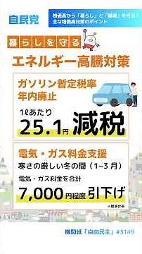 物価高から「暮らし」と「職場」を守る！主な物価高対策のポイント【LDP TOPICS】1分解説