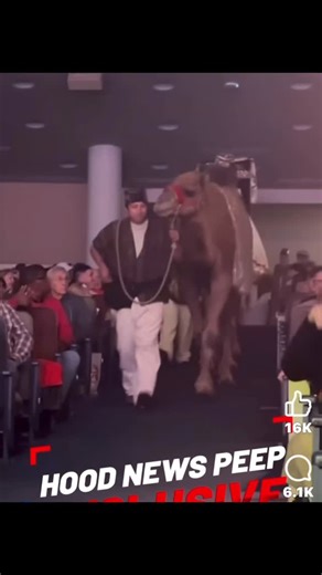 Ali K Jones on Instagram: "Lady was knocked unconscious by camel kick during a church performance."