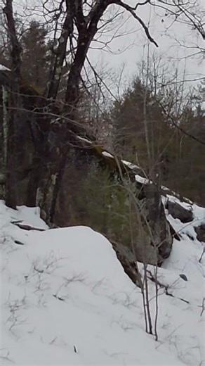 back of Kings Cross Townsend State Forest #snow #nature #hiking #solo