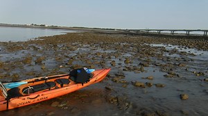 15K views · 494 reactions | The Severn estuary English stones low...