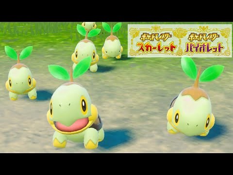 【可愛い】ナエトル６匹に囲まれて癒されピクニック【ポケモンSV】